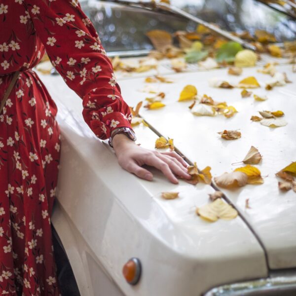 autumn in the city. retro car in autumn foliage and hand girl