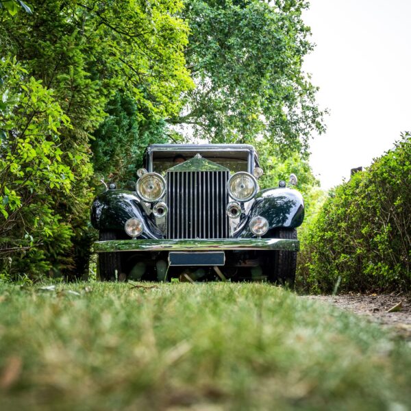 A low angle shot of a nice retro car surrounded by green trees and plants under the clear sky